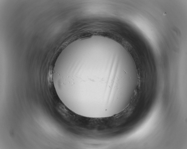 X0000111920190200908101229