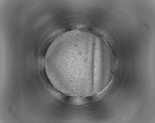 X0000111920191200908101229