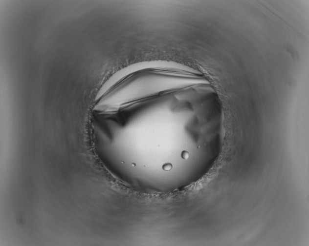 X0000111920192200908101229