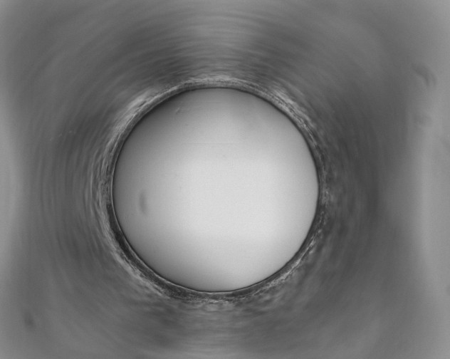 X0000111920193200908101228