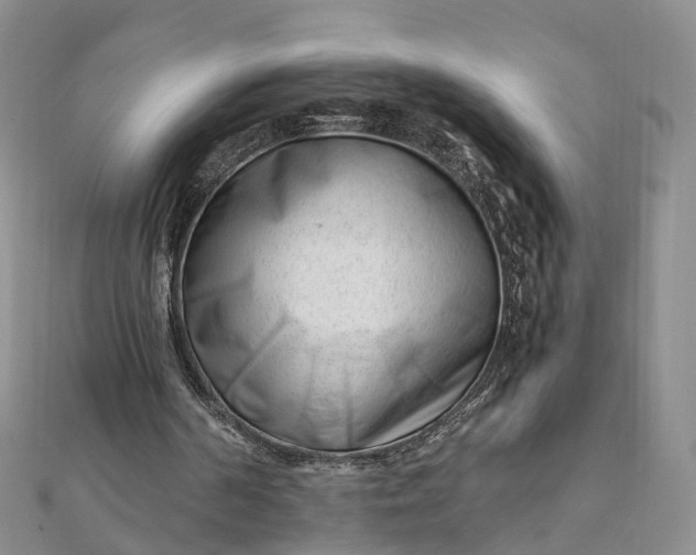 X0000111920194200908101228