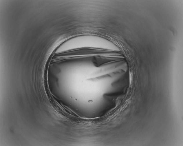 X0000111920195200908101228