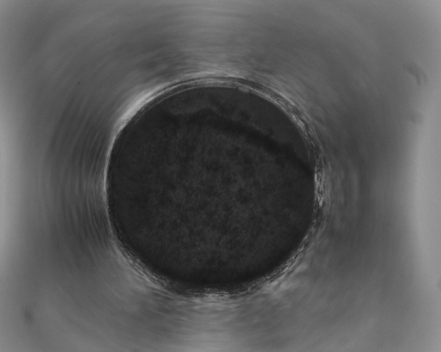 X0000111920196200908101228