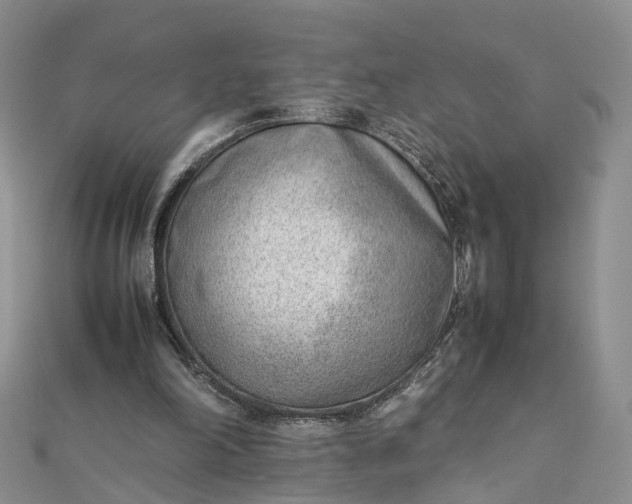 X0000111920198200908101228