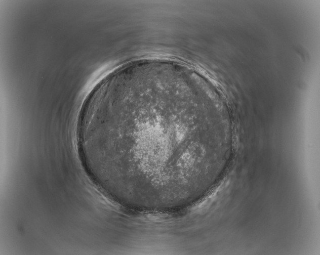 X0000111920199200908101228