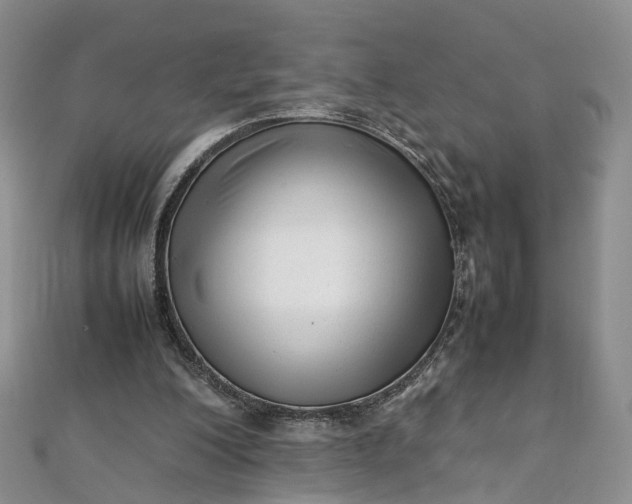 X0000111920200200908101228