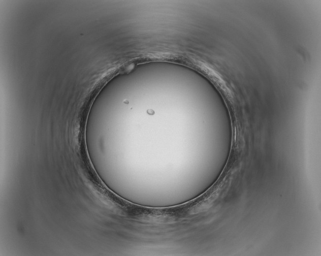 X0000111920201200908101228