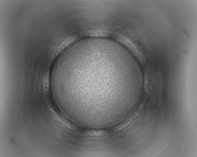 X0000111920202200908101228