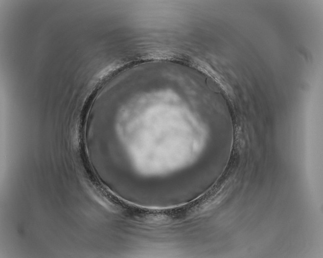 X0000111920203200908101228