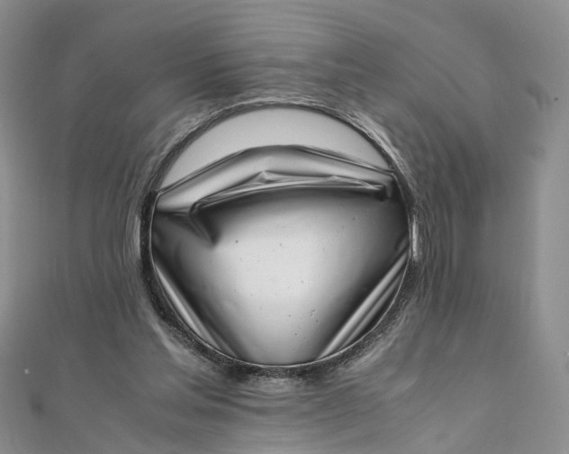 X0000111920205200908101228