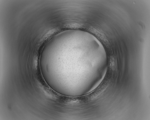 X0000111920206200908101228