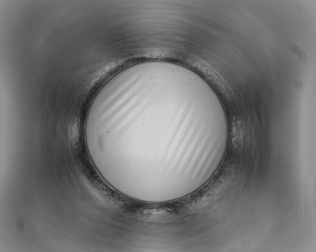 X0000111920208200908101228