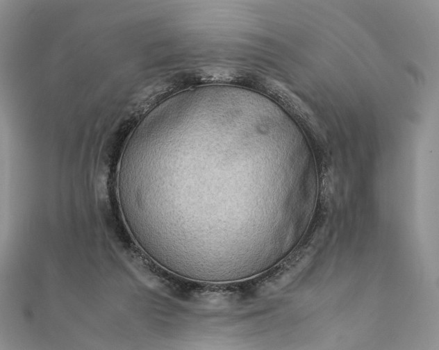 X0000111920209200908101228