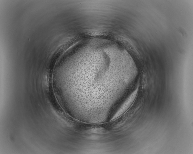 X0000111920210200908101228