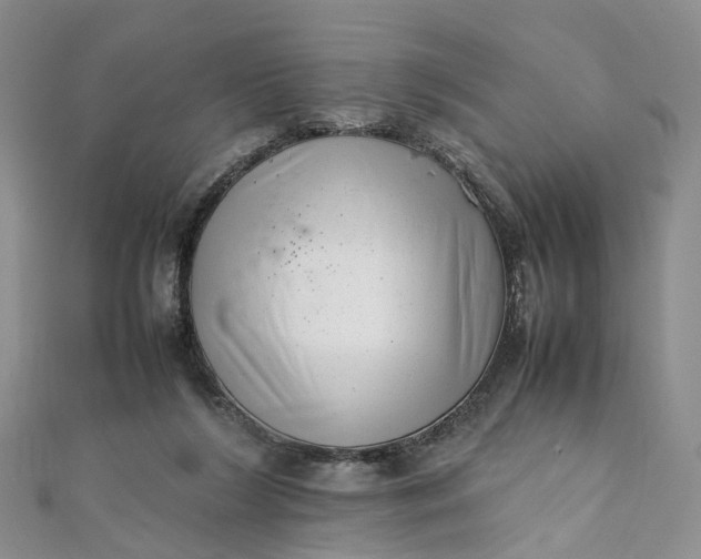 X0000111920212200908101228