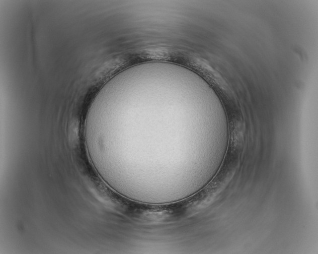 X0000111920213200908101228