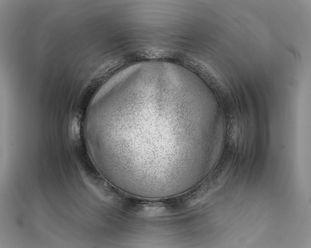 X0000111920214200908101228