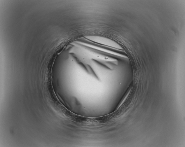 X0000111920215200908101228