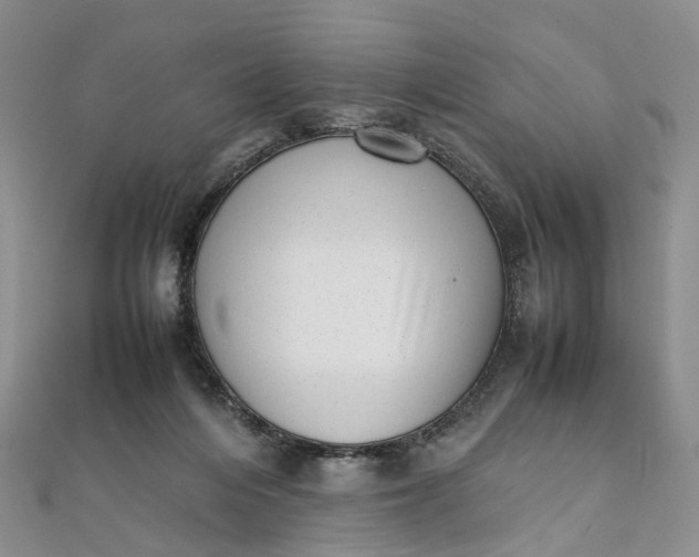 X0000111920216200908101228