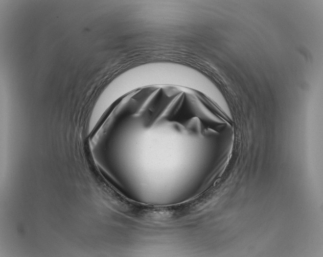 X0000111920217200908101228