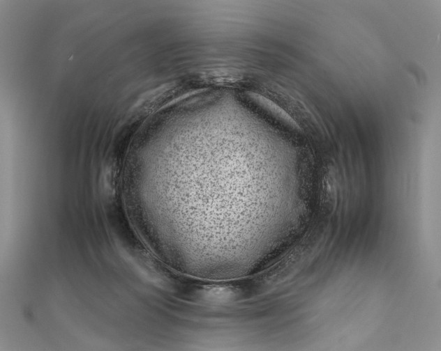 X0000111920218200908101228