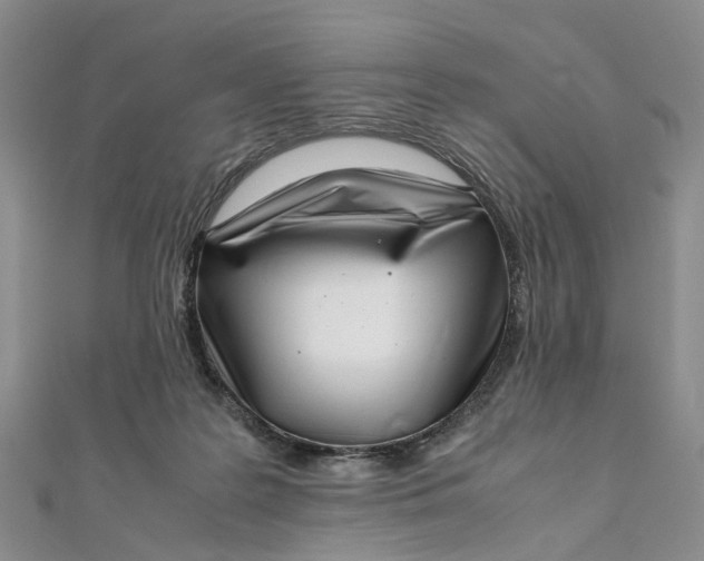 X0000111920219200908101228