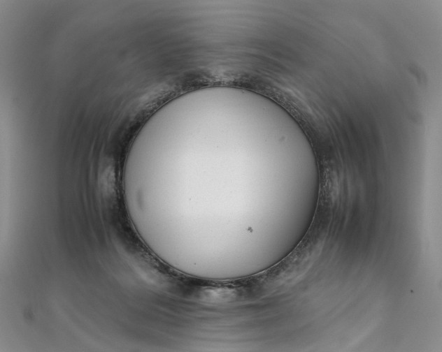 X0000111920220200908101228