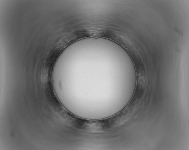 X0000111920221200908101228