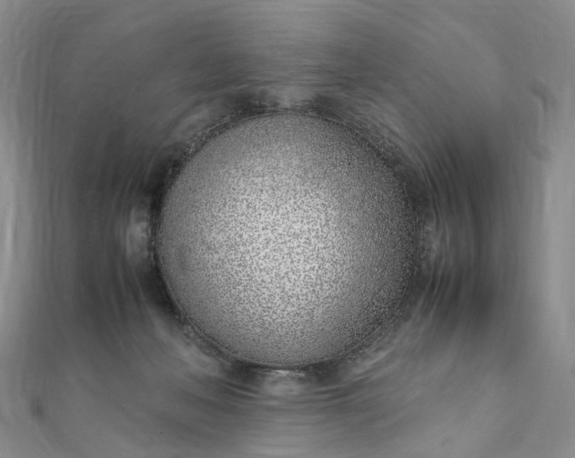 X0000111920222200908101228