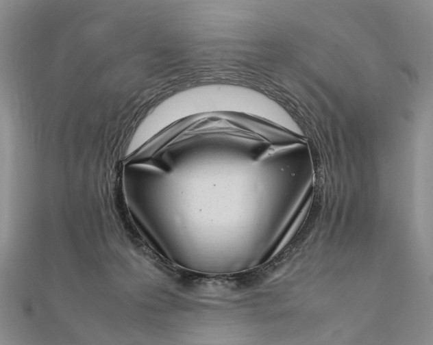 X0000111920223200908101228