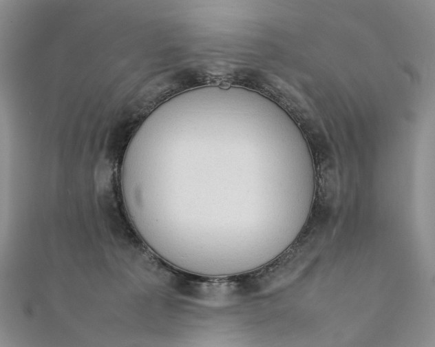 X0000111920225200908101228