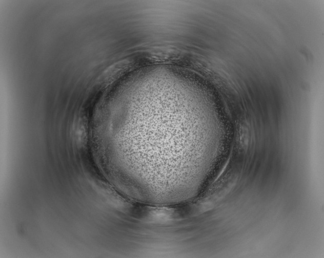 X0000111920226200908101228