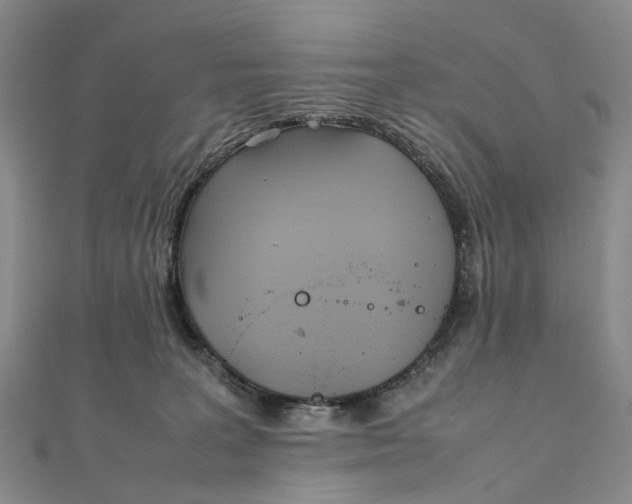 X0000111920227200908101228