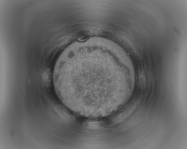 X0000111920228200908101228