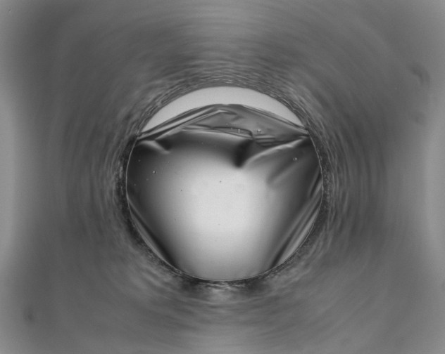 X0000111920229200908101228