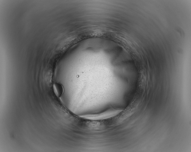 X0000111920230200908101228