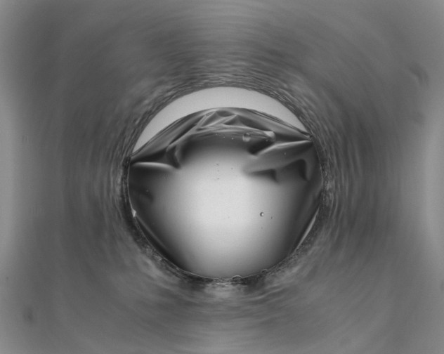 X0000111920231200908101228