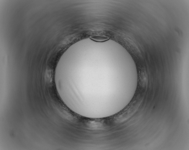 X0000111920232200908101228