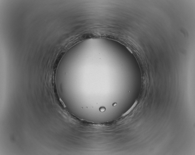 X0000111920233200908101228