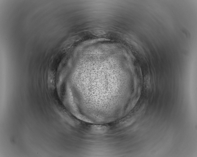 X0000111920234200908101228