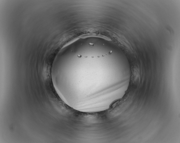 X0000111920236200908101228