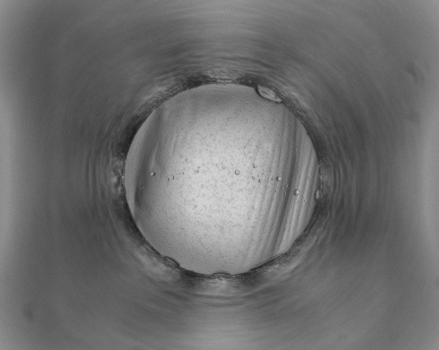 X0000111920237200908101228