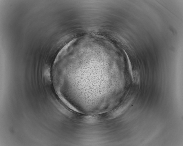 X0000111920238200908101228