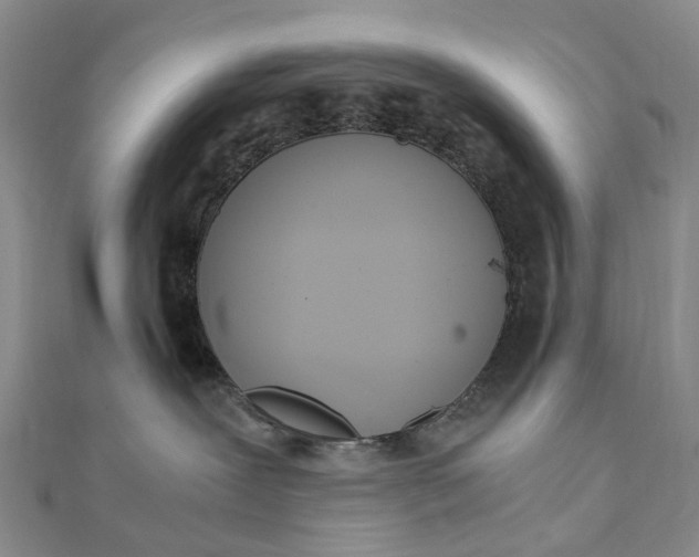 X0000111920239200908101228