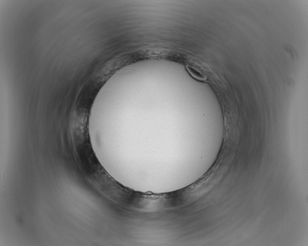 X0000111920240200908101228