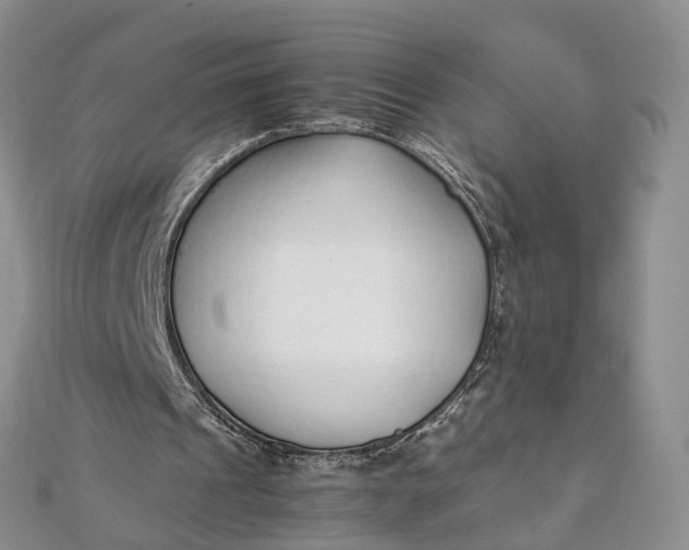 X0000111920241200908101227