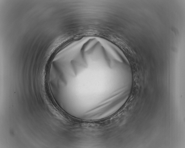 X0000111920242200908101227