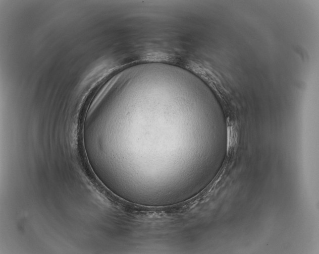 X0000111920243200908101227