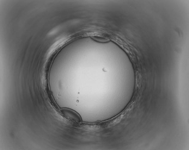 X0000111920245200908101227