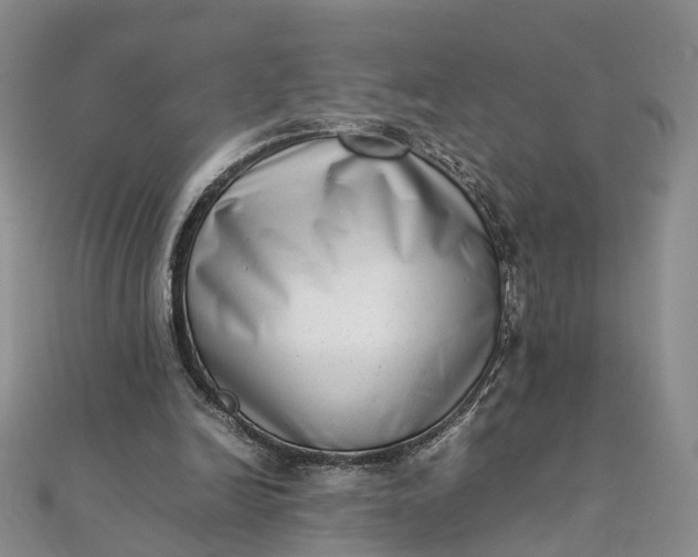 X0000111920246200908101227